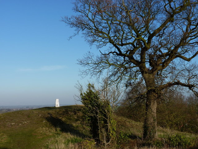 Lilleshall Hill trig from the monument