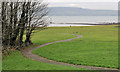 Grass and trees, Seapark, Holywood