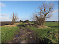 Bridleway across Feltwell Common