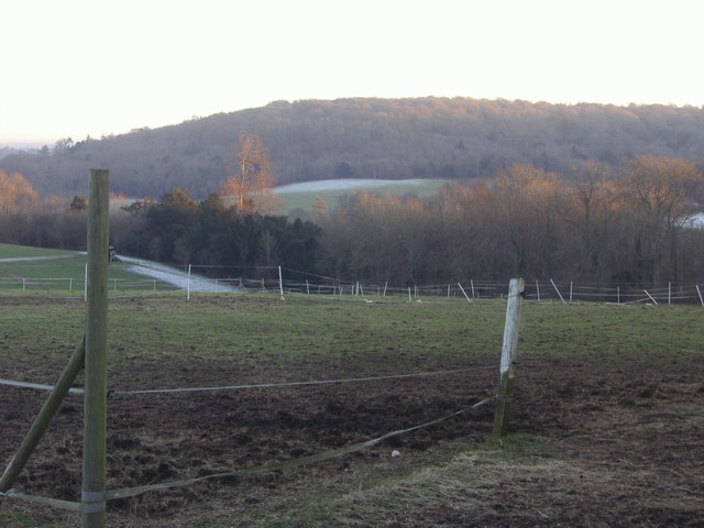 The North Downs, Great Bookham