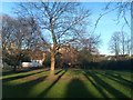 Long shadows, Lucas Gardens