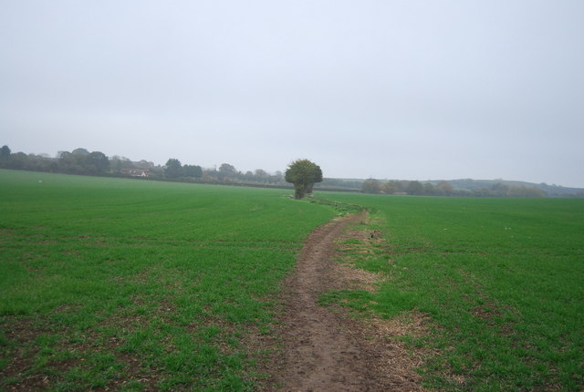 Footpath from Hawe Farm