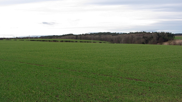 Winter crops, Ancroft
