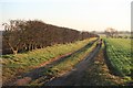 Farm track off Marton Lane