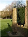 Churchyard Cross, North Tawton