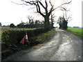 Country lane to Stradbroke