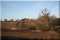 Farmland off Saversick Lane