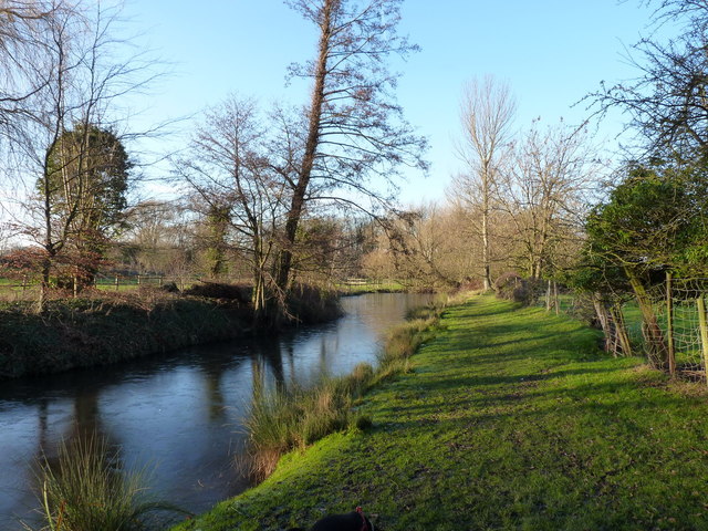 Pond formed from the original Donnington Wood canal