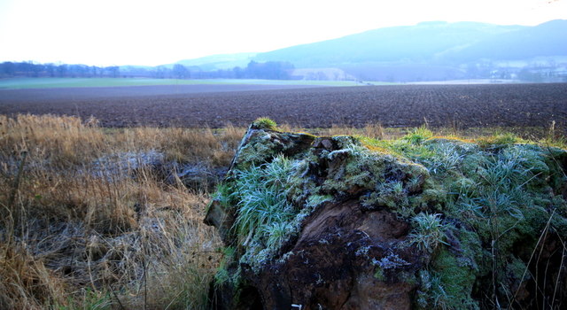 Arable Land at Drummonie