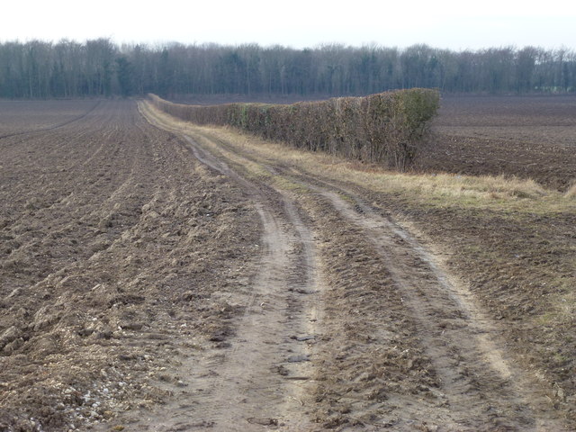 Track to Southern's Plantation near Hillington, Norfolk
