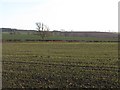 Arable land, Heiton