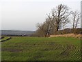 Arable land, Heiton