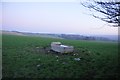 Exmoor : Grassy Field