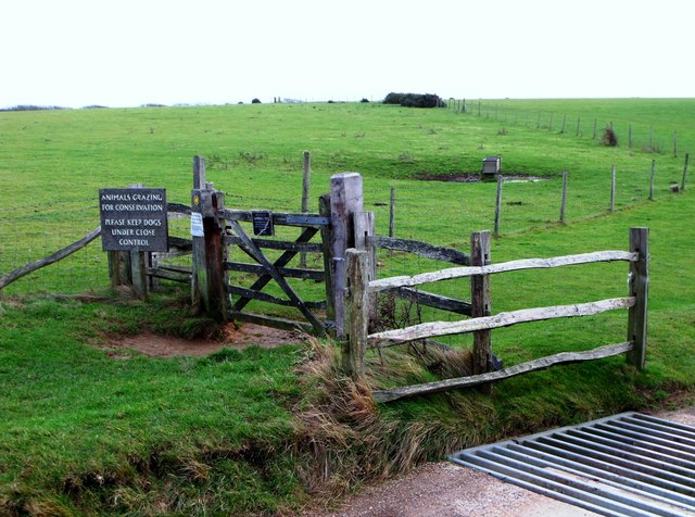 Gate and cattle grid, Friston