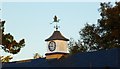 Weather vane on Spinney Lane