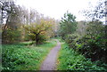 Blackwater Valley Path heading south