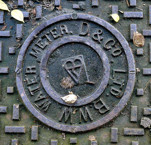 Water Meter Cover, Belfast