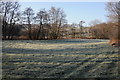 Trees on the bank of the Trothy