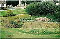 Village pond at Ducklington