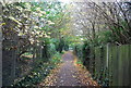 Footpath along the edge of Herne