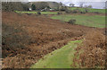 Glamorganshire Canal at Cefn Glas