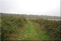 TR1865 : Footpath to East Blean Wood by N Chadwick