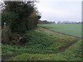 Footpath heading towards Lady Grove