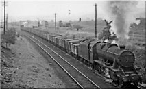 SK4481 : Up coal train at Killamarsh West by Ben Brooksbank
