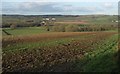 Towards Luxton Moor