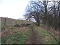 Footpath near Bank End Farm