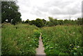 Medway Valley Walk