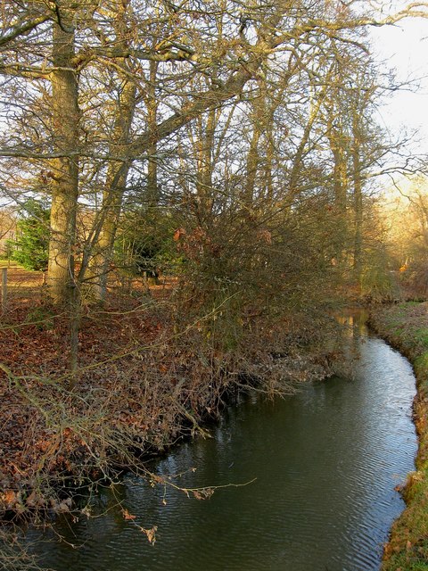 Stream, Deanland Wood