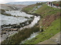 Shaw Beck in Dry Gill Bottom