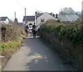 Two horses in Cowshed Lane, Bassaleg