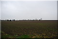 Farmland south of Chestfield