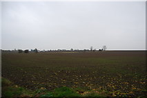 TR1466 : Farmland south of Chestfield by N Chadwick