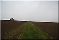 Footpath to Molehill Rd