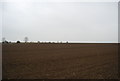 Large ploughed field