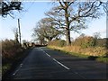 Salters Lane west of the track to Hodgehill Cottages