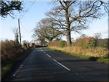 SJ8269 : Salters Lane west of the track to Hodgehill Cottages by Peter Whatley