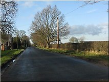 SJ7568 : Twemlow Lane by Peter Whatley