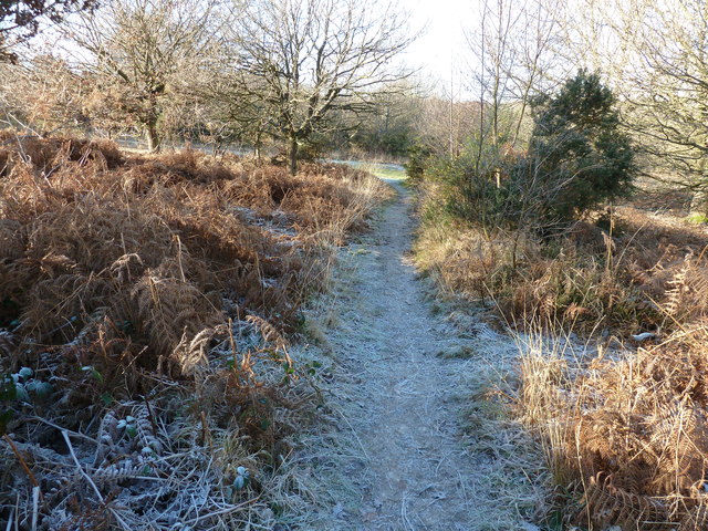 Frosty path on Red House Common