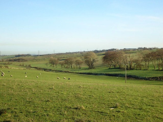 Rottenstocks, pasture