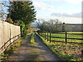 Lane at Mount Tudor, Catsash, near Newport