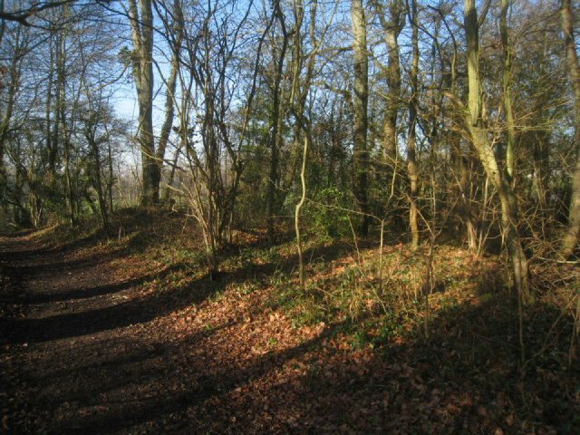 Three Castles Path - Broad Oak © Mr Ignavy cc-by-sa/2.0 :: Geograph ...