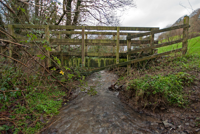 A footbridge on Coney Gut at Coombe Farm as seen from upstream