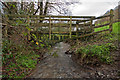 A footbridge on Coney Gut at Coombe Farm as seen from upstream