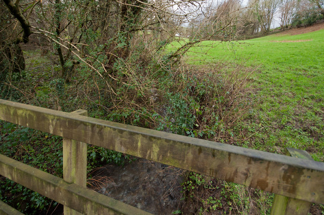 The view downstream from a footbridge on Coney Gut at Coombe Farm