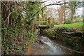 One of a few footbridges on Coney Gut at Coombe Farm