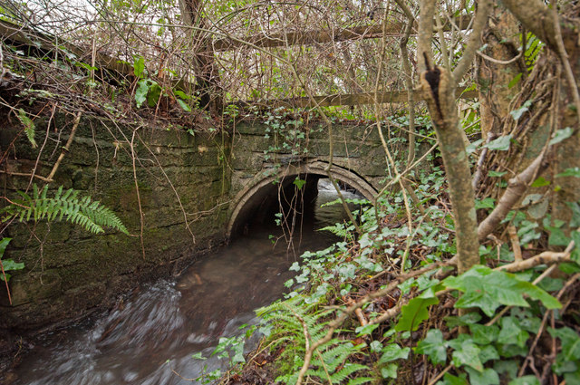 A culvert where Coney Gut passes under access to a field